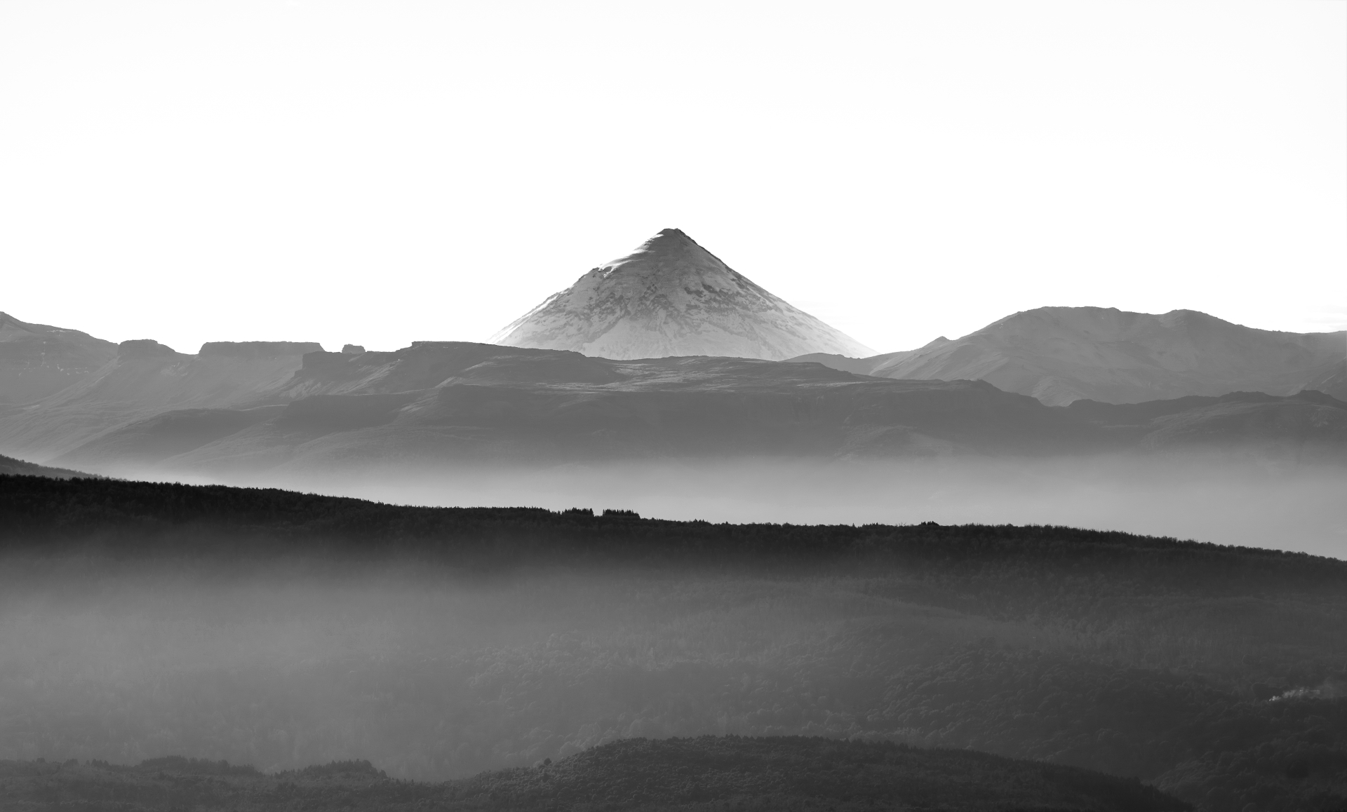 Blanco y Negro