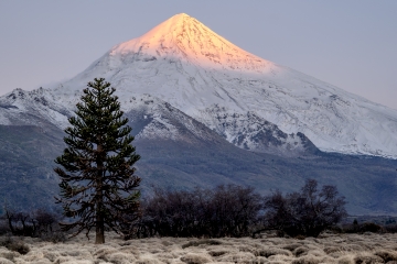Lanin