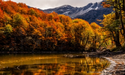 Laguna verde