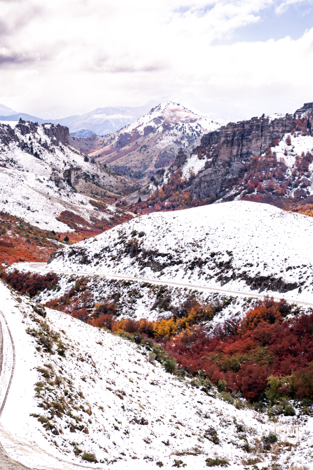 Valle alto en transición 