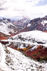 Valle alto en transición 