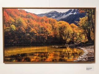 Laguna verde