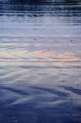 Fluir