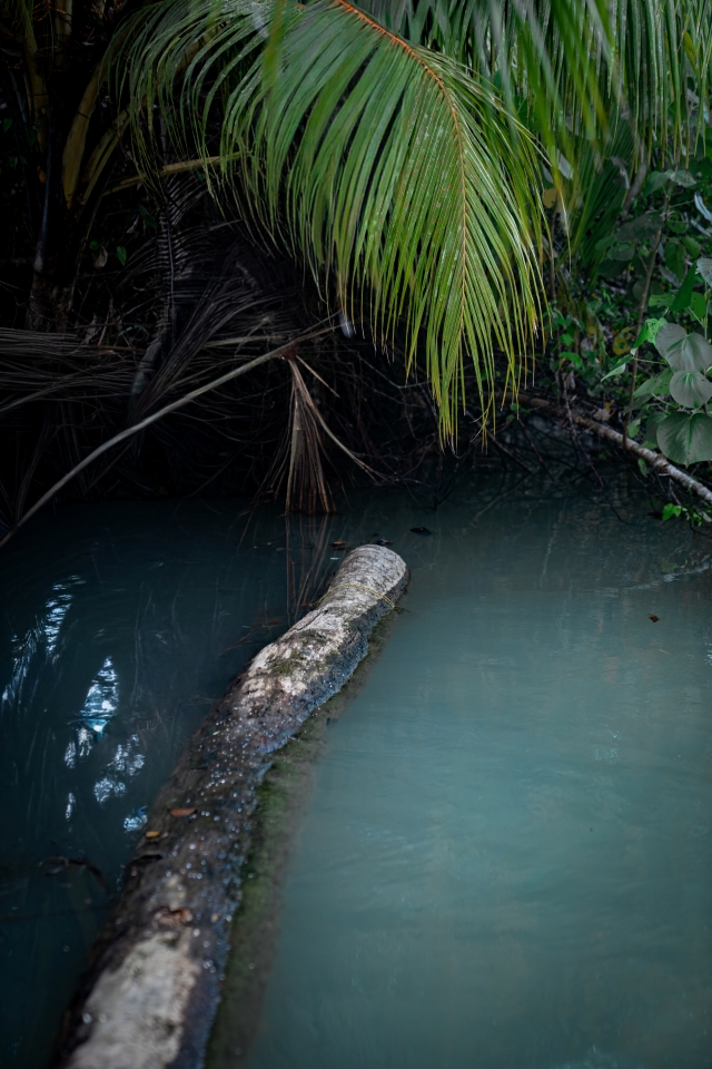 Entre aguas