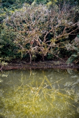 Entre aguas