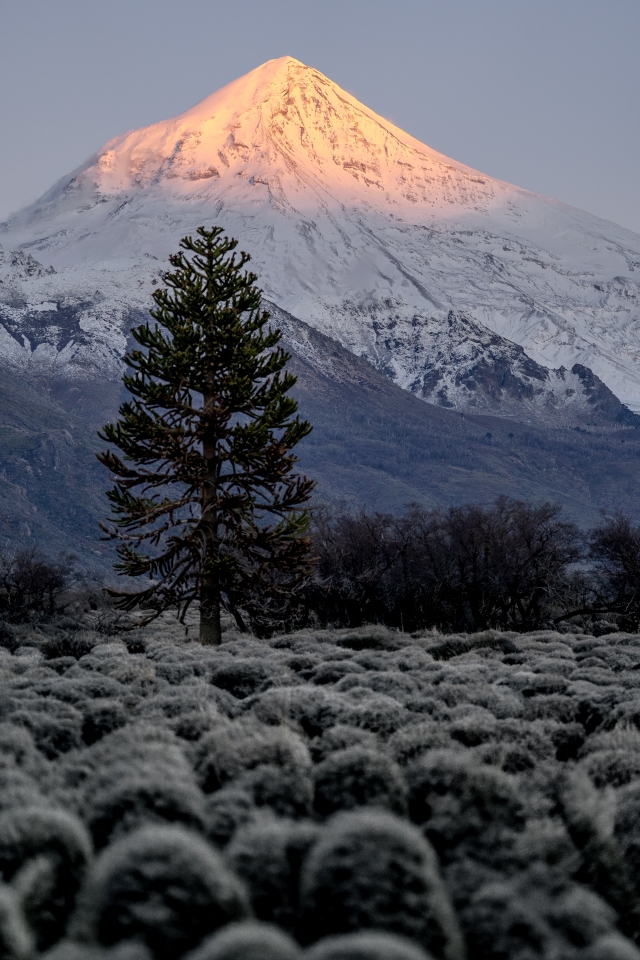 Lanin
