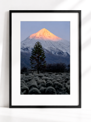 Lanin