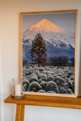 Lanin